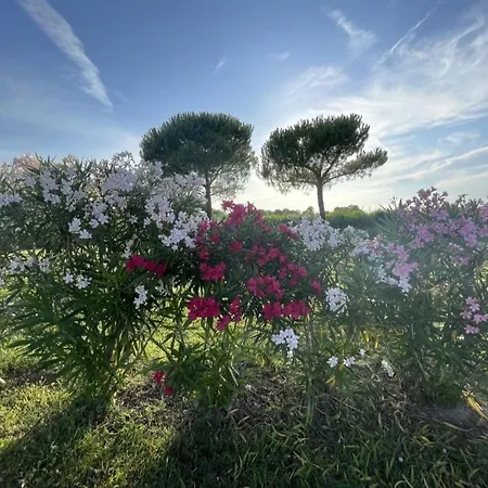 Calilla -appartamento Libeccio