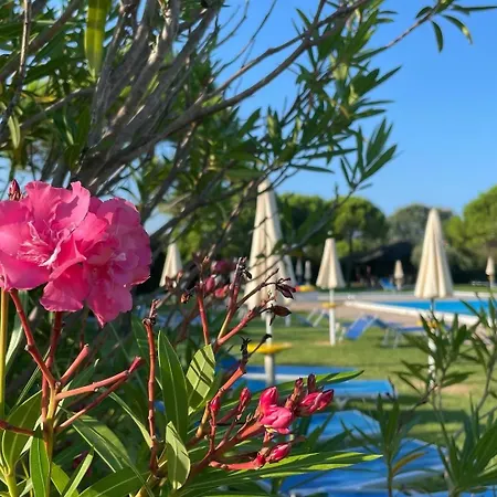 Calilla -appartamento Libeccio Grado